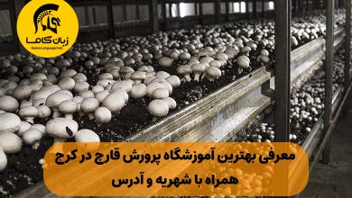 آموزشگاه پرورش قارچ در کرج